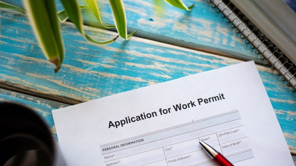 Formularz „Application for Work Permit” z długopisem – przegląd rodzajów zezwoleń na pracę w Polsce i wybór właściwego.